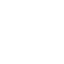 program
