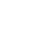 program